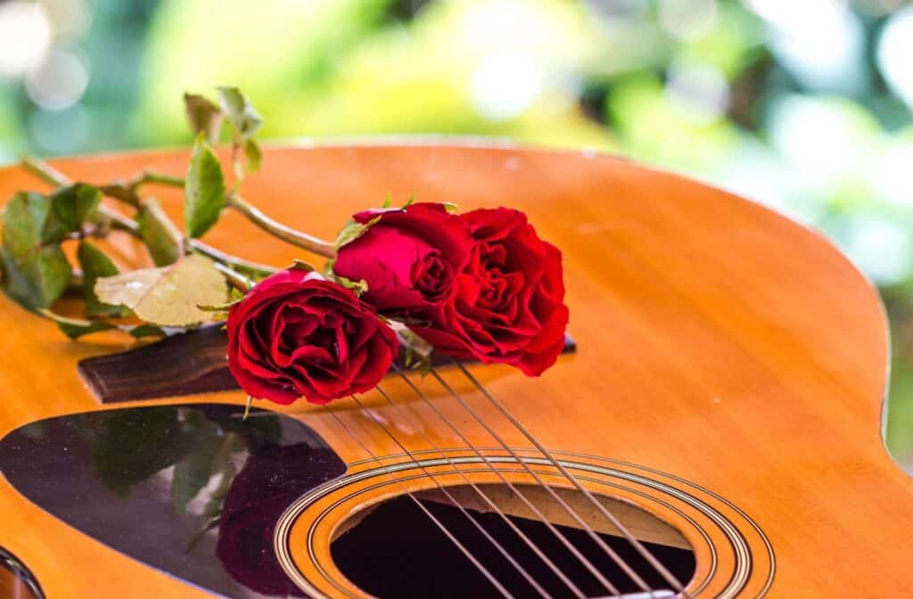 rose and guitar